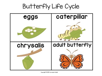 Life Cycle Sequencing Cards FREE-Butterfly and Frog {Distance Learning}