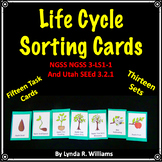 Life Cycle Sorting Cards for Centers and Fast Finishers NG