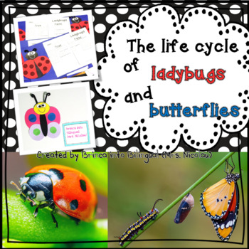 Preview of Life Cycle Unit - Ladybug and Butterfly | Distance Learning