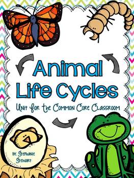 Preview of Life Cycles (Butterly, Frog, Chick, Mealworm)