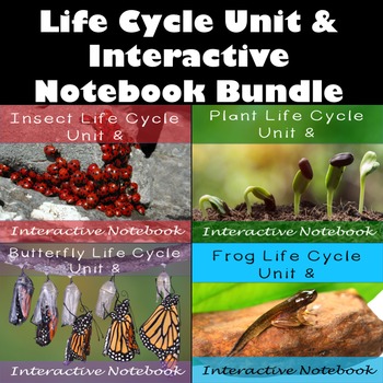 Preview of Life Cycle Units Interactive Notebook Bundle-Frog, Butterfly, Insect, and Plants
