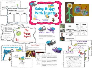 Preview of Life Cycle Unit for Insects (butterflies), Frogs and Humans