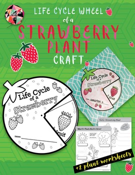 Preview of Life Cycle Wheel of a Strawberry Plant Craft + Plant Worksheets