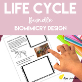 Life Cycle Whole Year Bundle |  Ladybug Bee Ant Frog Butte