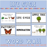 Life Cycle Word Wall and Science Posters