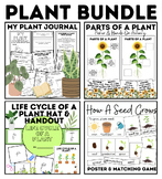 Life Cycle and Parts Of A Plant | Posters, Hands-On Activi