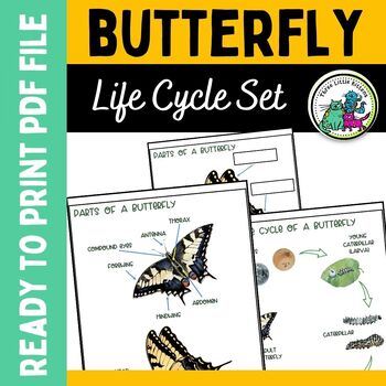 Life Cycle of A Butterfly Worksheets by Three Little Kittens | TPT