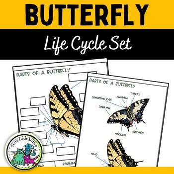 Life Cycle of A Butterfly Worksheets by Three Little Kittens | TPT