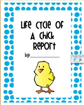 Preview of Life Cycle of A Chick Report