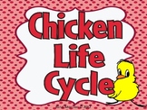 Life Cycle of A Chicken Unit