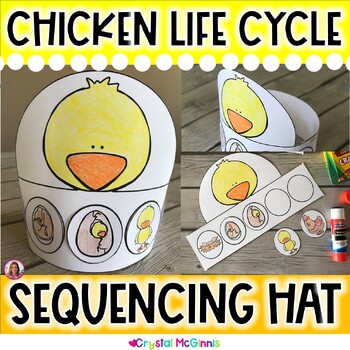 Preview of Life Cycle of A Chicken Hat Chicken Life Cycle Sequencing Activity Kindergarten