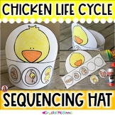 Life Cycle of A Chicken Hat Chicken Life Cycle Sequencing 