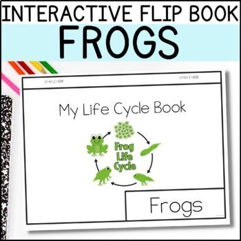 Preview of Life Cycle of A Frog Interactive Flip Book Kindergarten Science Activities