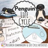 Life Cycle of A Penguin and Research Companion
