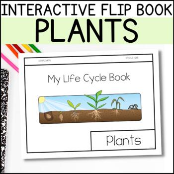 Preview of Life Cycle of A Plant Interactive Flip Book Kindergarten Science Activities