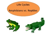 Life Cycle of Amphibians vs. Reptiles