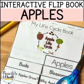 Preview of Life Cycle of An Apple Interactive Flip Book Kindergarten Science Activities