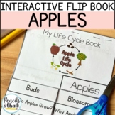 Life Cycle of An Apple Interactive Flip Book Kindergarten 