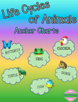 Animal Life Cycle Chart