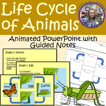 Preview of Life Cycle of Animals ANIMATED PowerPoint with Guided Notes