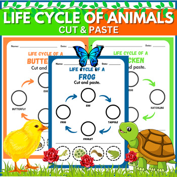 Preview of Life Cycle of Animals Cut and Paste Worksheets | Cut & Paste Activity