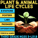 Plant Life Cycle, Animals, Parts of a Plant, Frog, Butterf