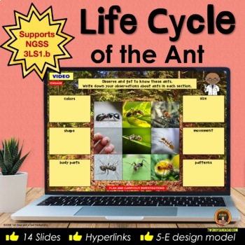 Preview of Life Cycle of Ants Digital Interactive Notebook for Google Slides®