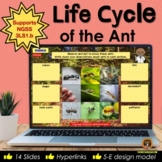 Life Cycle of Ants Digital Interactive Notebook for Google