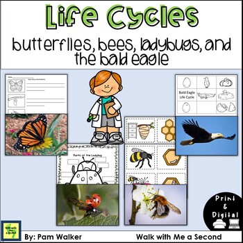 Preview of Life Cycle of Butterfly, Bee, Ladybug, and Bald Eagle