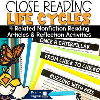 Preview of Life Cycle of a Butterfly Chicken Reading Passages Worksheets for Spring 