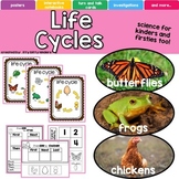 Life Cycle Bundle:  Butterfly, Frog, Chicken