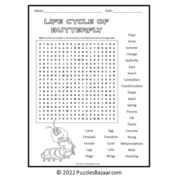 Life Cycle of Butterfly Word Search Puzzle - No Prep Science Game ...