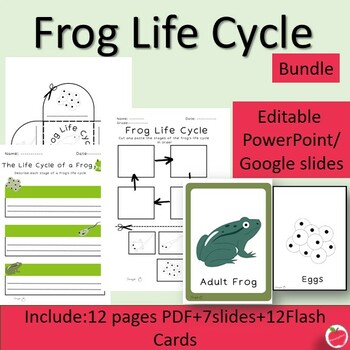 Preview of Life Cycle of Frog lesson-Bundle