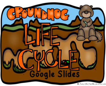 Preview of Life Cycle of Groundhogs Digital Project