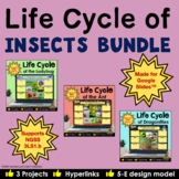 Life Cycle of Insects Interactive Digital Notebooks for Go
