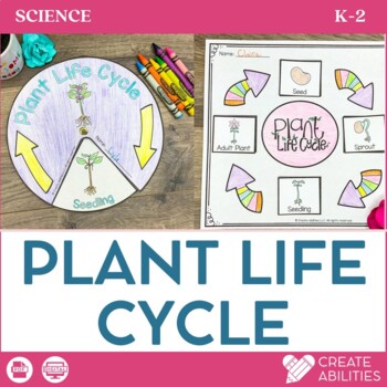 Preview of Life Cycle of Plant LOWER Elementary