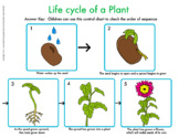 Life Cycle of Plant- Seed to Flower- Printable Worksheets-