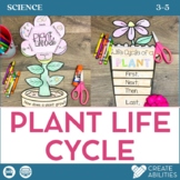 Life Cycle of Plant UPPER Elementary