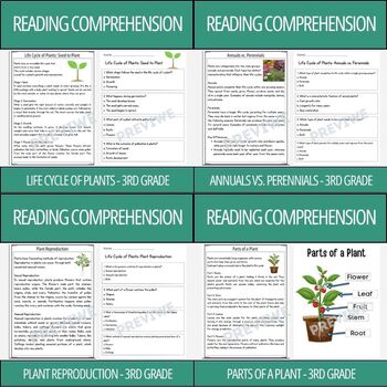 Preview of Life Cycle of Plants - 3rd & 4th Grade Reading Comprehension Activity Bundle