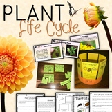 Life Cycle of Plants : Printables, Interactive Activities,
