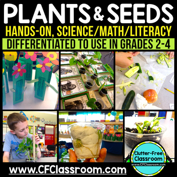 Preview of Plant Life Cycle Parts of a Plant Basic Needs & Seed Unit Flower Craft all about
