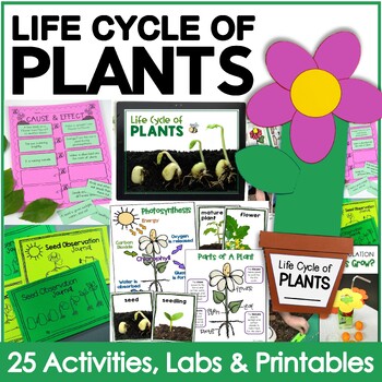 Preview of Life Cycle of Plants Unit, Investigations & Plant Life Cycle PowerPoint NGSS