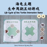 Life Cycle of Sea Turtle Interactive Game 蒙氏海龟主题生命周期互动游戏模板【中英文】