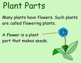 Life Cycle of Seed Plants - Smartboard Lesson
