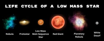 Preview of Life Cycle of Stars Infographic