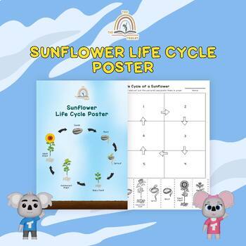 Preview of Life Cycle Poster