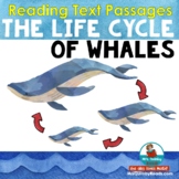 Life Cycle of Whales | Text Passages | Anchor Chart | Dist