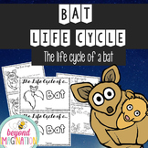 Life Cycle of a Bat