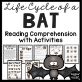 Life Cycle of a Bat Activities & Worksheets Bats Reading C