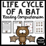 Life Cycle of a Bat Reading Comprehension Worksheet and Cu